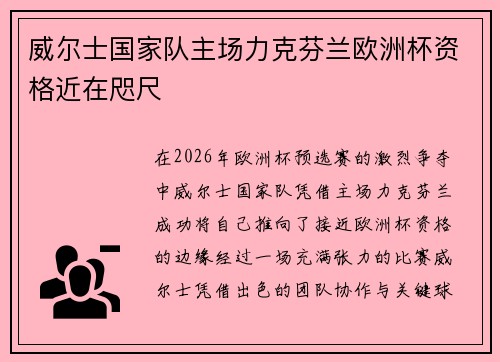 威尔士国家队主场力克芬兰欧洲杯资格近在咫尺
