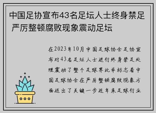 中国足协宣布43名足坛人士终身禁足 严厉整顿腐败现象震动足坛